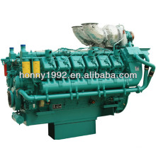 EUA Googol Marca 1000kW V8 4-Stroke Engine